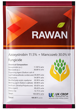Rawan fungicide 100 gm pouch